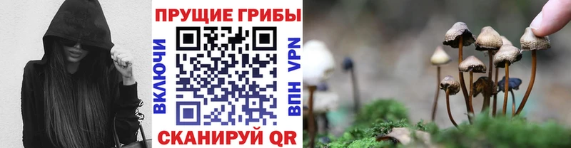 Галлюциногенные грибы прущие грибы Мариинск