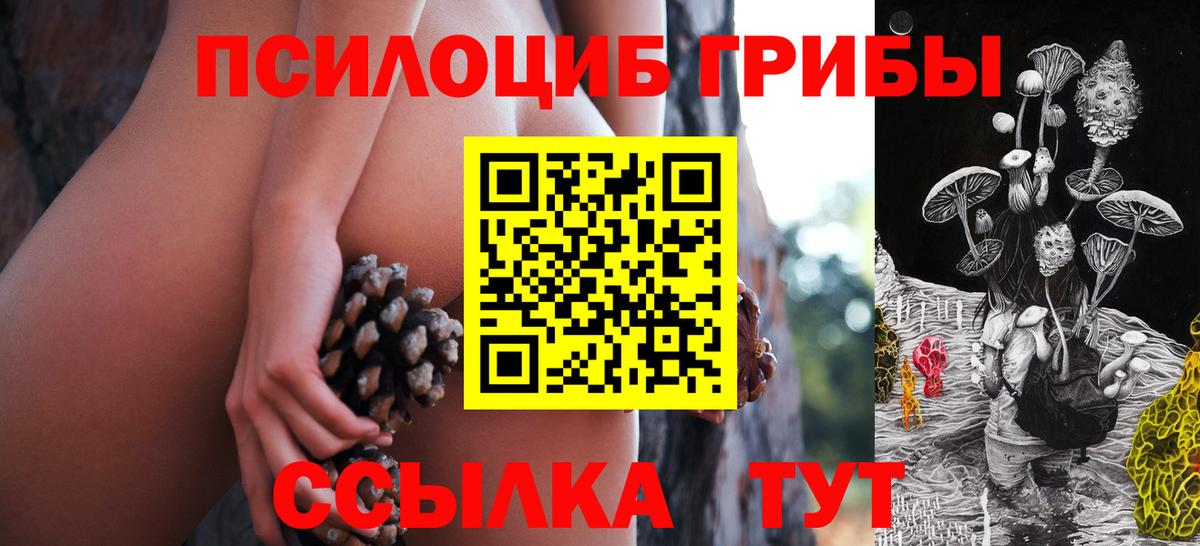 Галлюциногенные грибы прущие грибы Мариинск